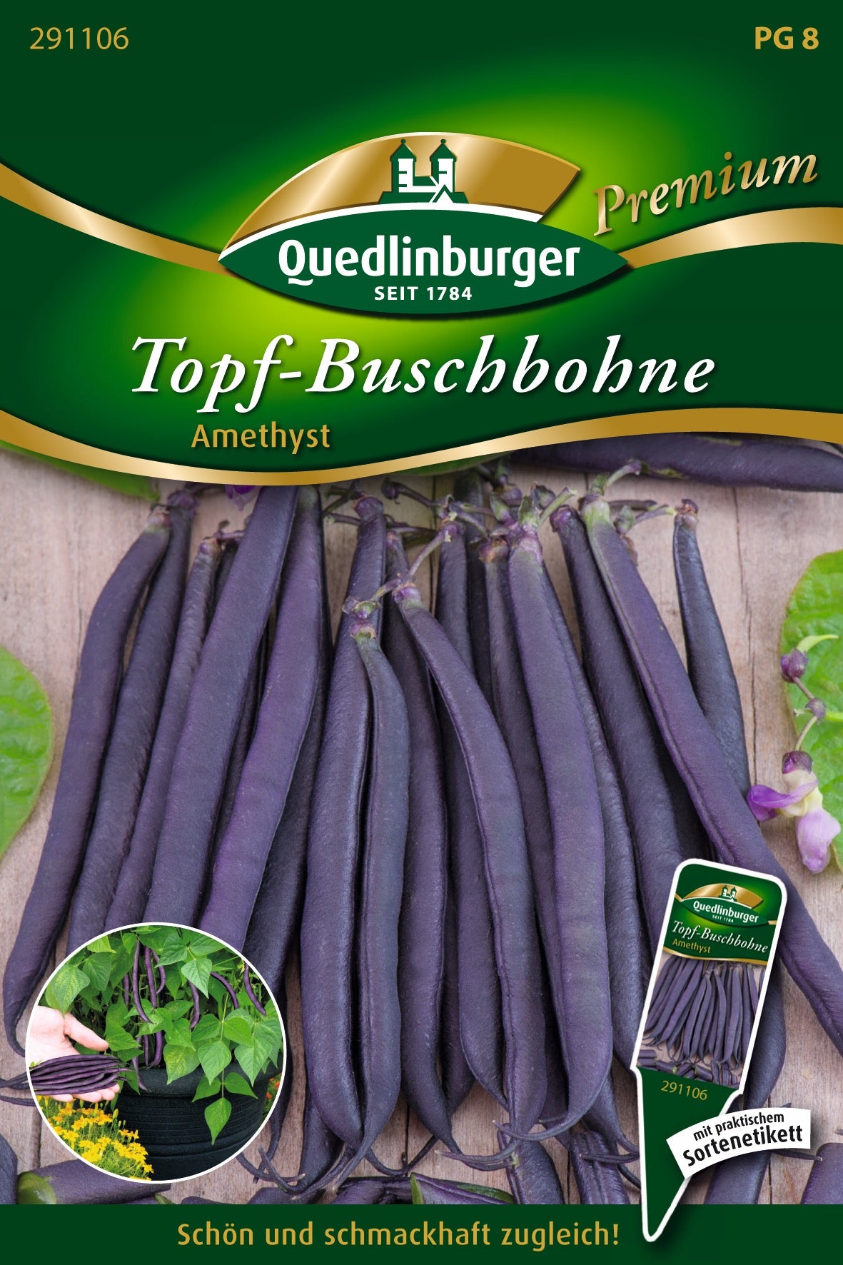 Topf-Busch-Bohnen Amethyst