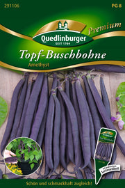 Topf-Busch-Bohnen Amethyst