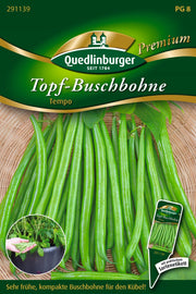 Topf-Busch-Bohnen Tempo