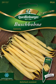 Buschbohnen Sonesta