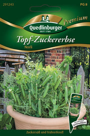 Topf-Zucker-Erbsen Norli