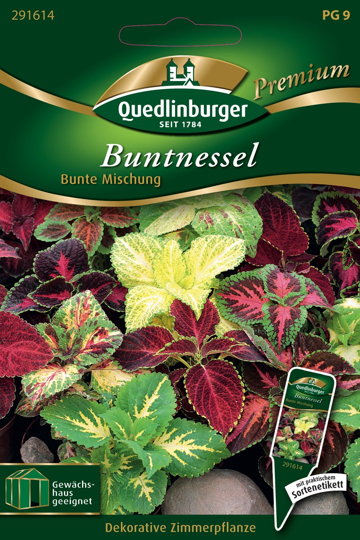 Buntnessel Bunte Mischung