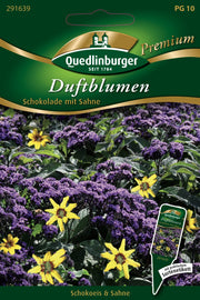 Duftblumen Schokolade mit Sahne