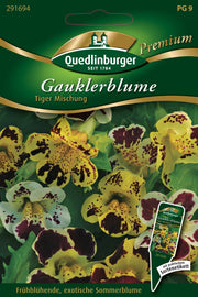 Gauklerblumen Tiger Mischung