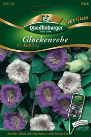 Glockenrebe Glockenklang
