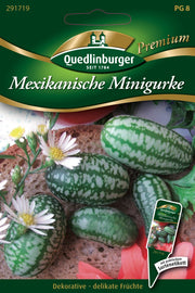 Mini-Gurken Mexikanische