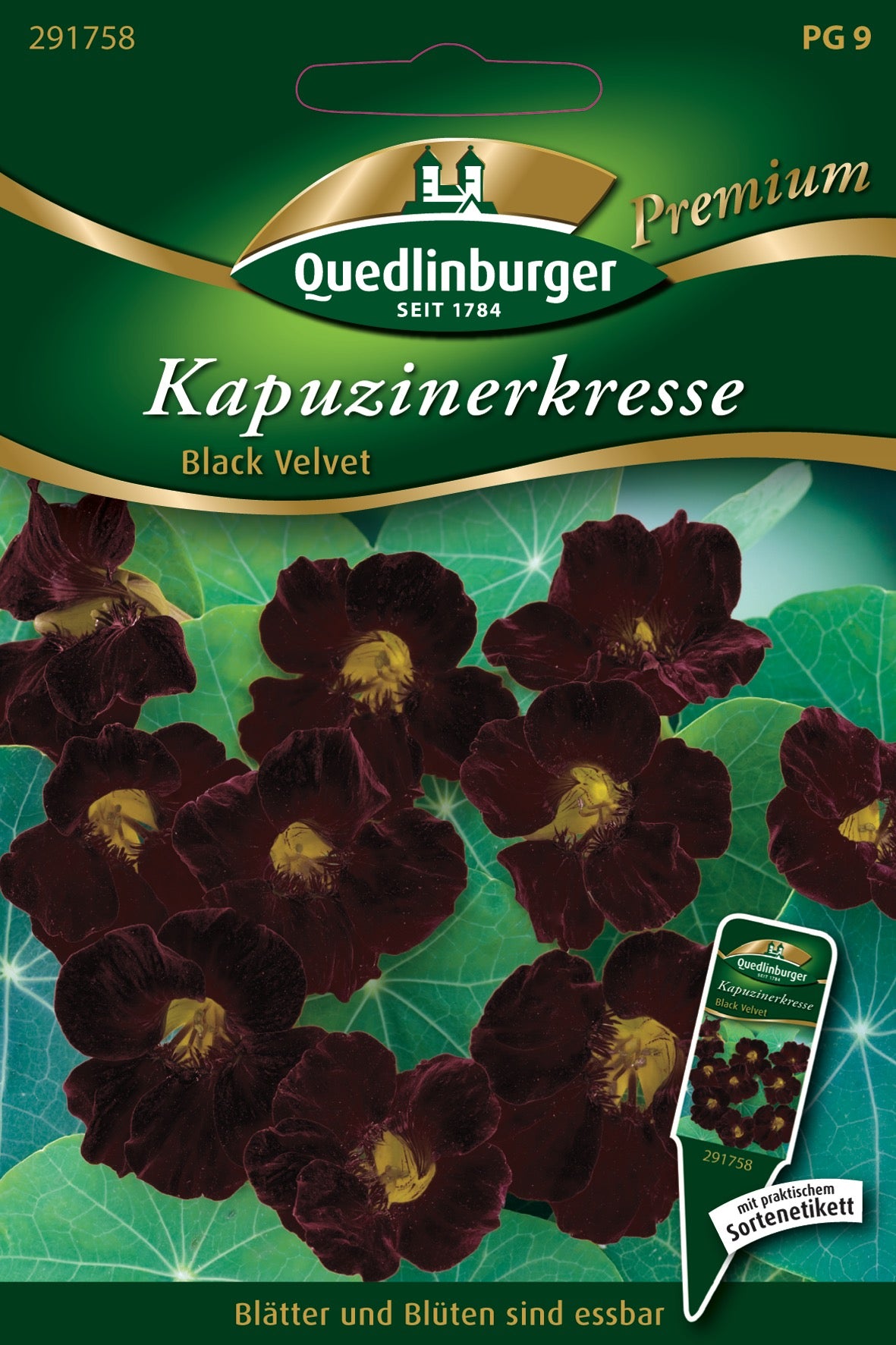 Kapuzinerkresse Black Velvet