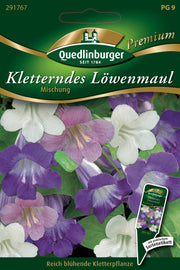 Kletterndes Löwenmaul Mischung