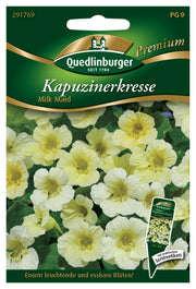 Kapuzinerkresse Milk Maid