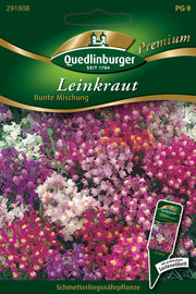Leinkraut Bunte Mischung
