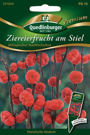 Ziereierfrucht am Stiel