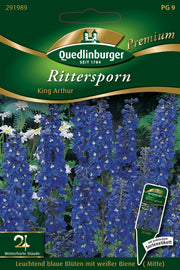 Rittersporn King Arthur
