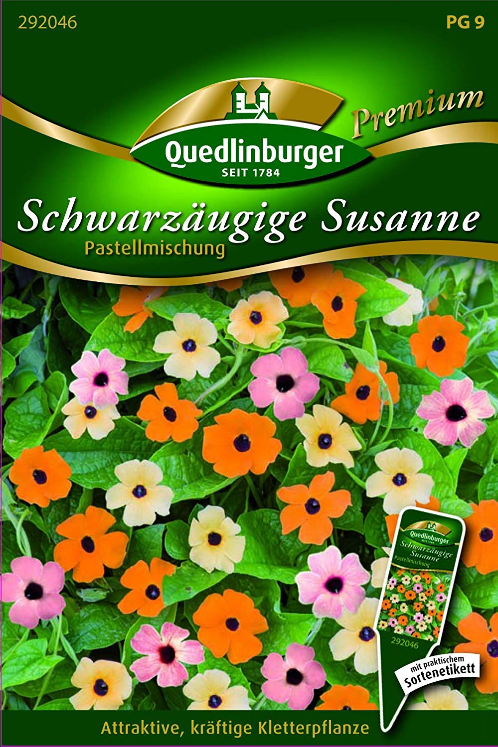 Schwarzäugige Susanne Pastellmischung