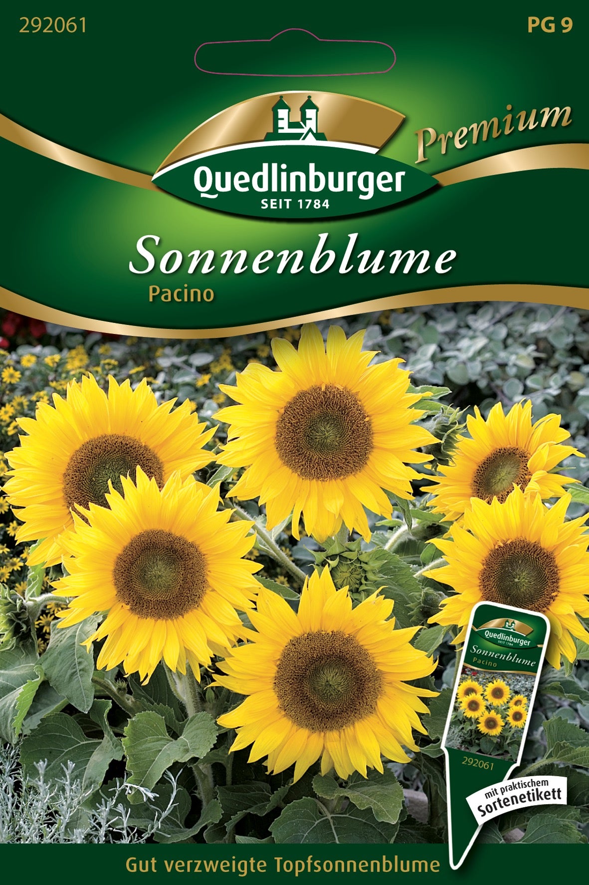 Sonnenblumen Pacino