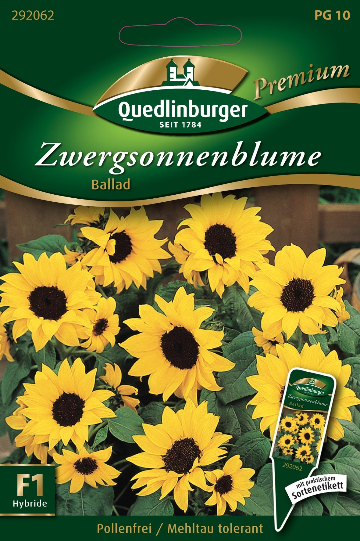Zwerg-Sonnenblumen Ballad
