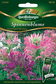 Spinnenblume Wasserspiel Mischung