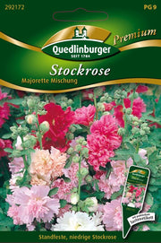 Stockrosen Majorette Mischung
