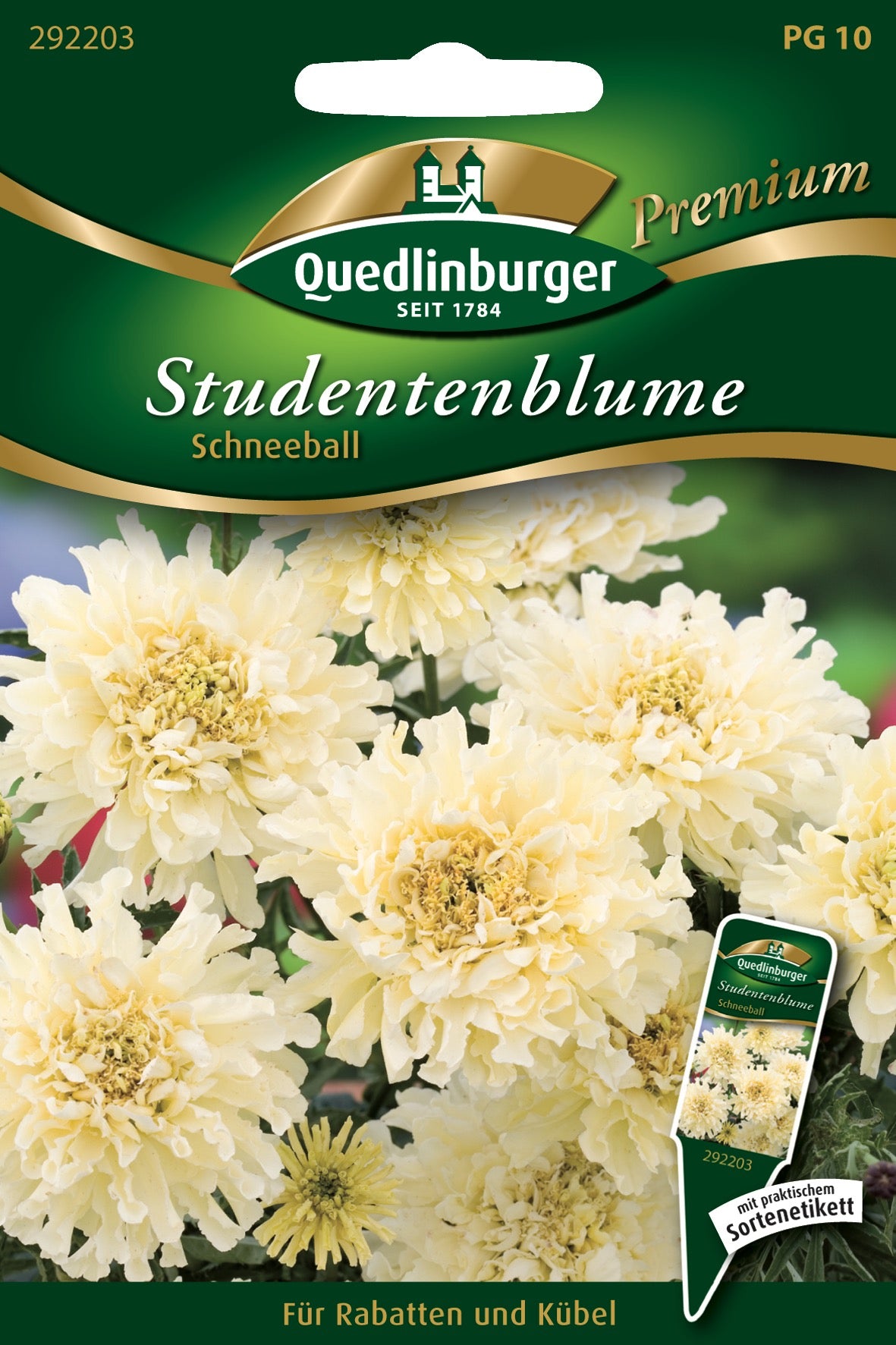 Studentenblumen Schneeball