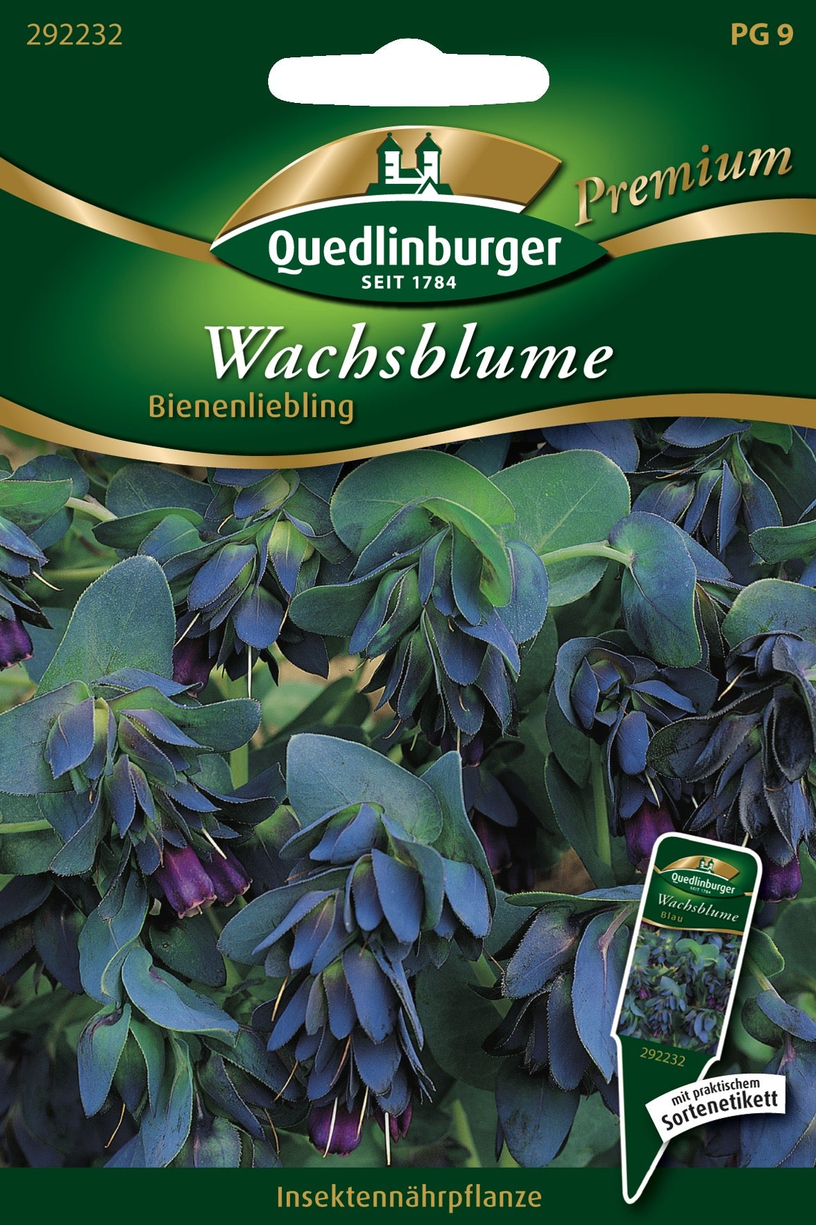 Wachsblumen Bienenliebling
