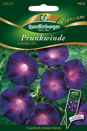 Prunk-Winde Grandpa Ott