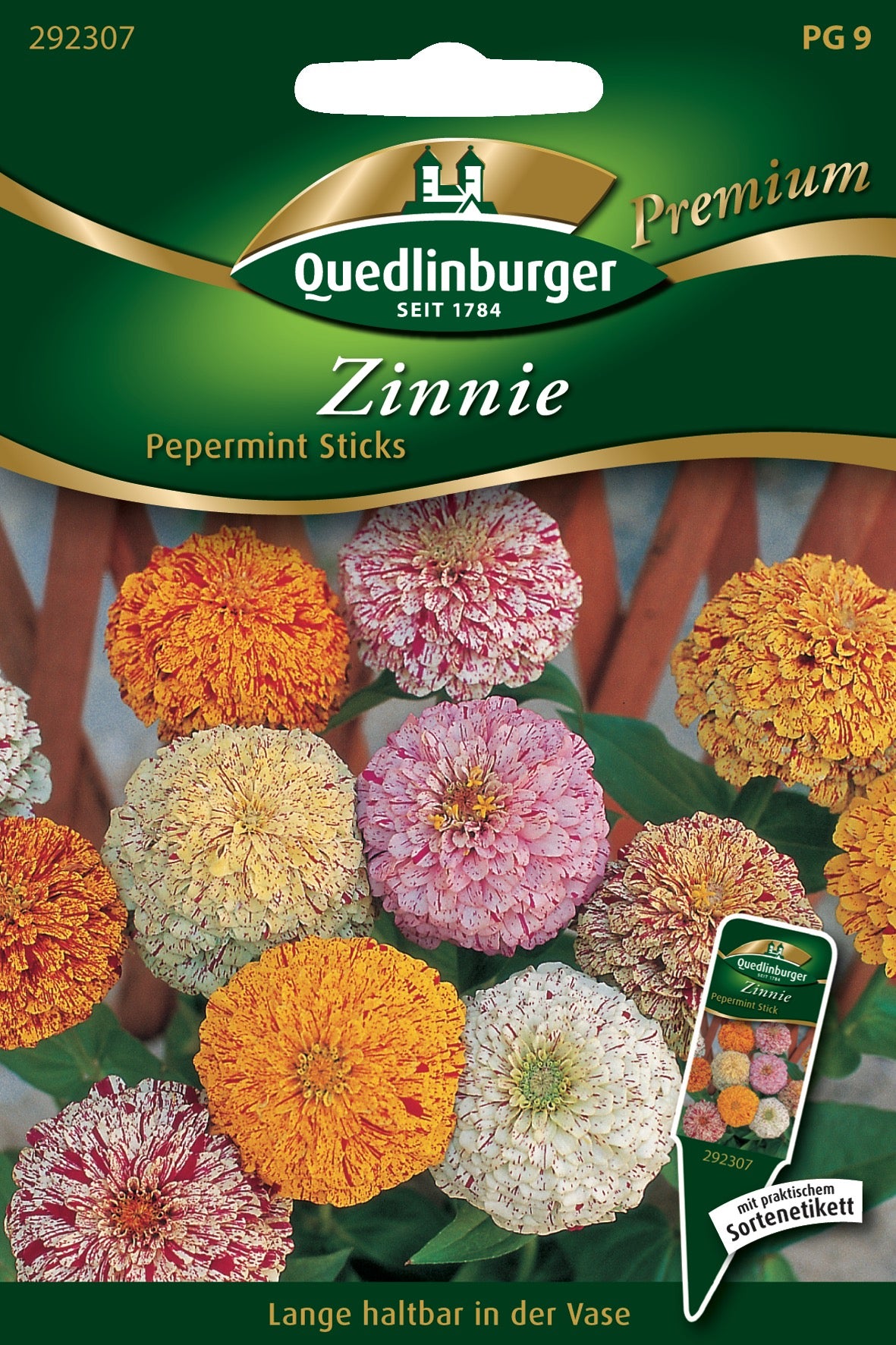 Zinnien Pepermint Sticks