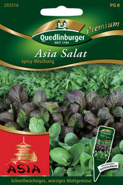 Asia-Salat Spicy Mischung