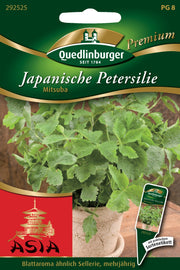 Japanische Petersilie Mitsuba