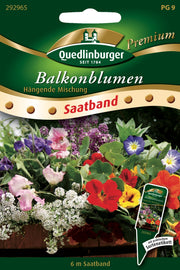 Balkonblumen hängende Mischung Saatband