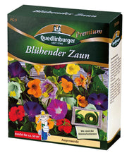 Blühender Zaun