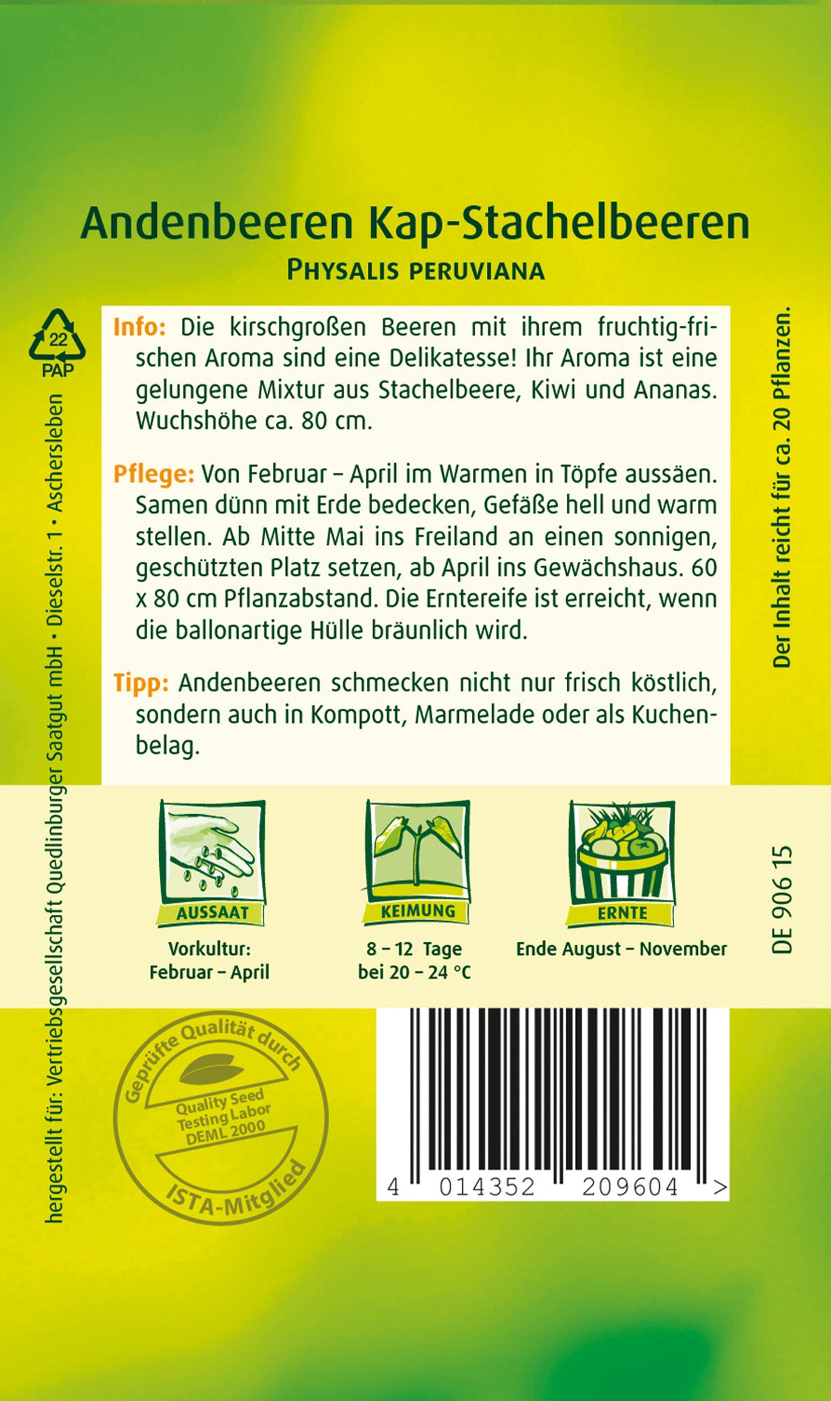 Andenbeeren Kapstachelbeere