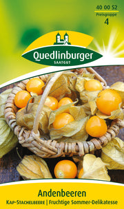 Andenbeeren Kapstachelbeere