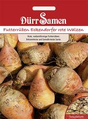 Futterrüben Eckendorfer rote Walzen