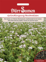 Gründüngung Buchweizen 50 g
