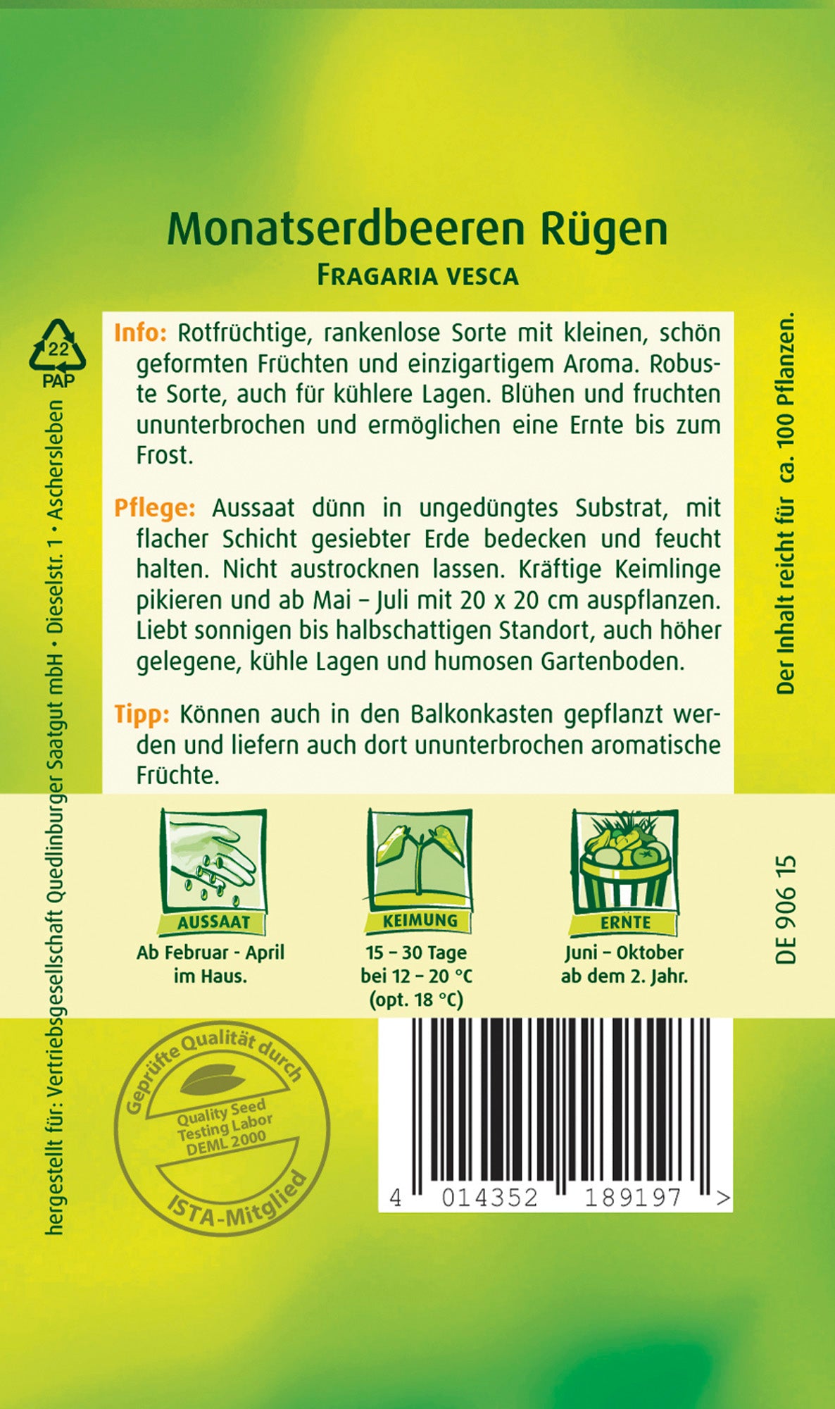 Monatserdbeere Rügen