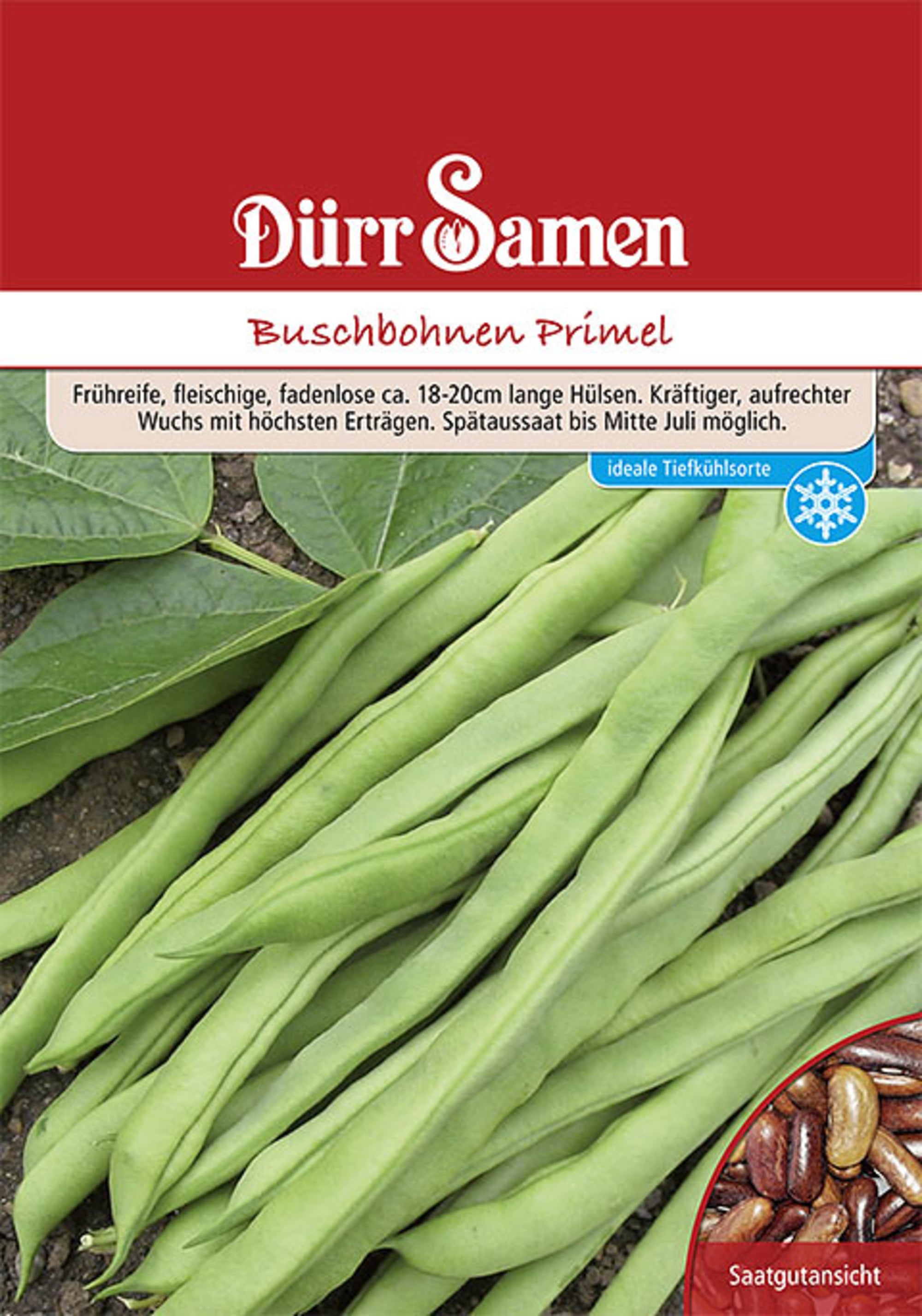 Buschbohnen Primel 250 g