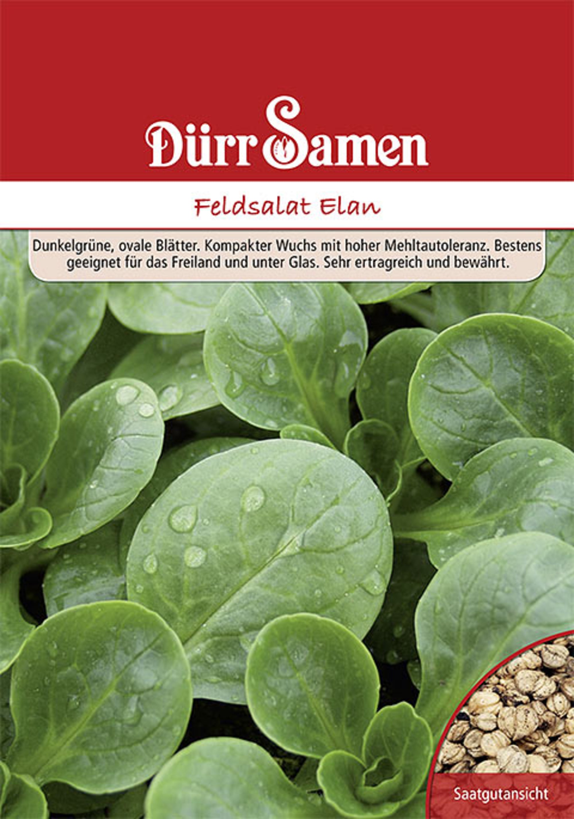Feldsalat Elan 250 g