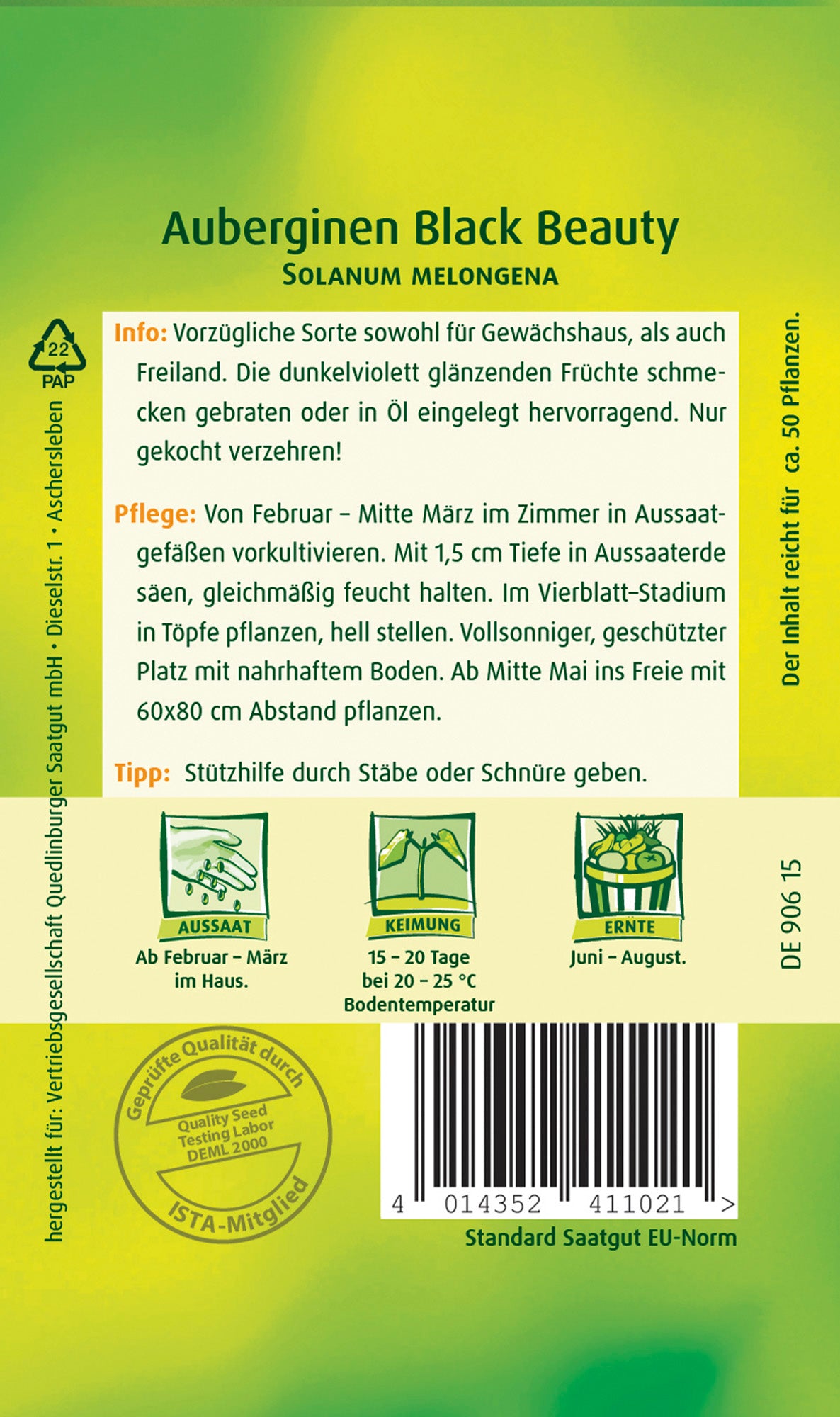 Auberginen Black Beauty