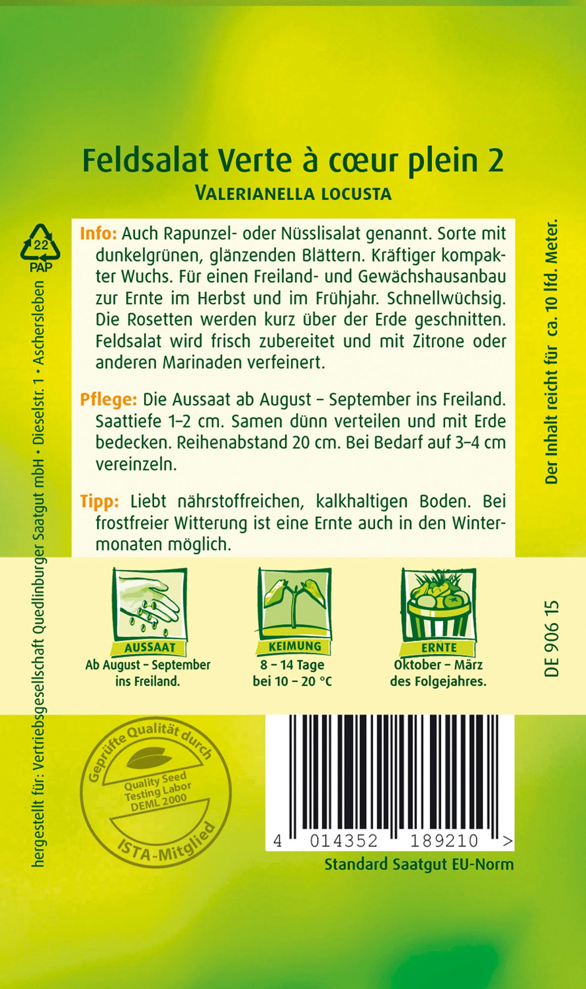 Feldsalat Verte a couer plein 2