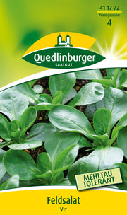 Feldsalat Vit