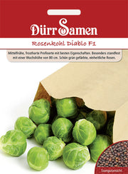 Rosenkohl Diablo F1