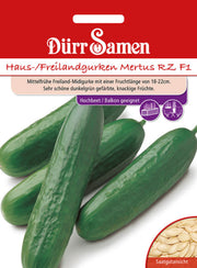 Haus-/Freilandgurken Mertus RZ F1