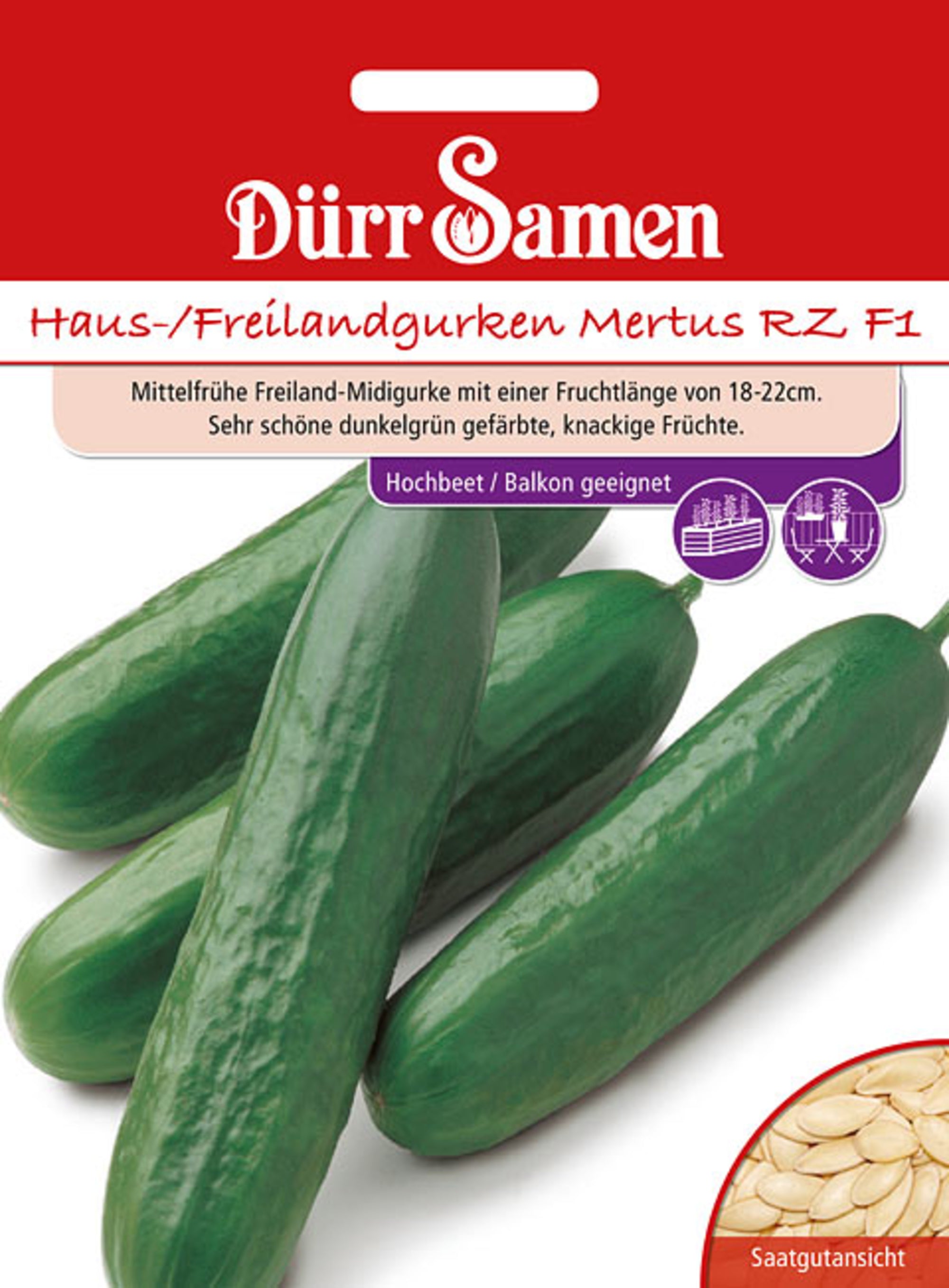 Haus-/Freilandgurken Mertus RZ F1