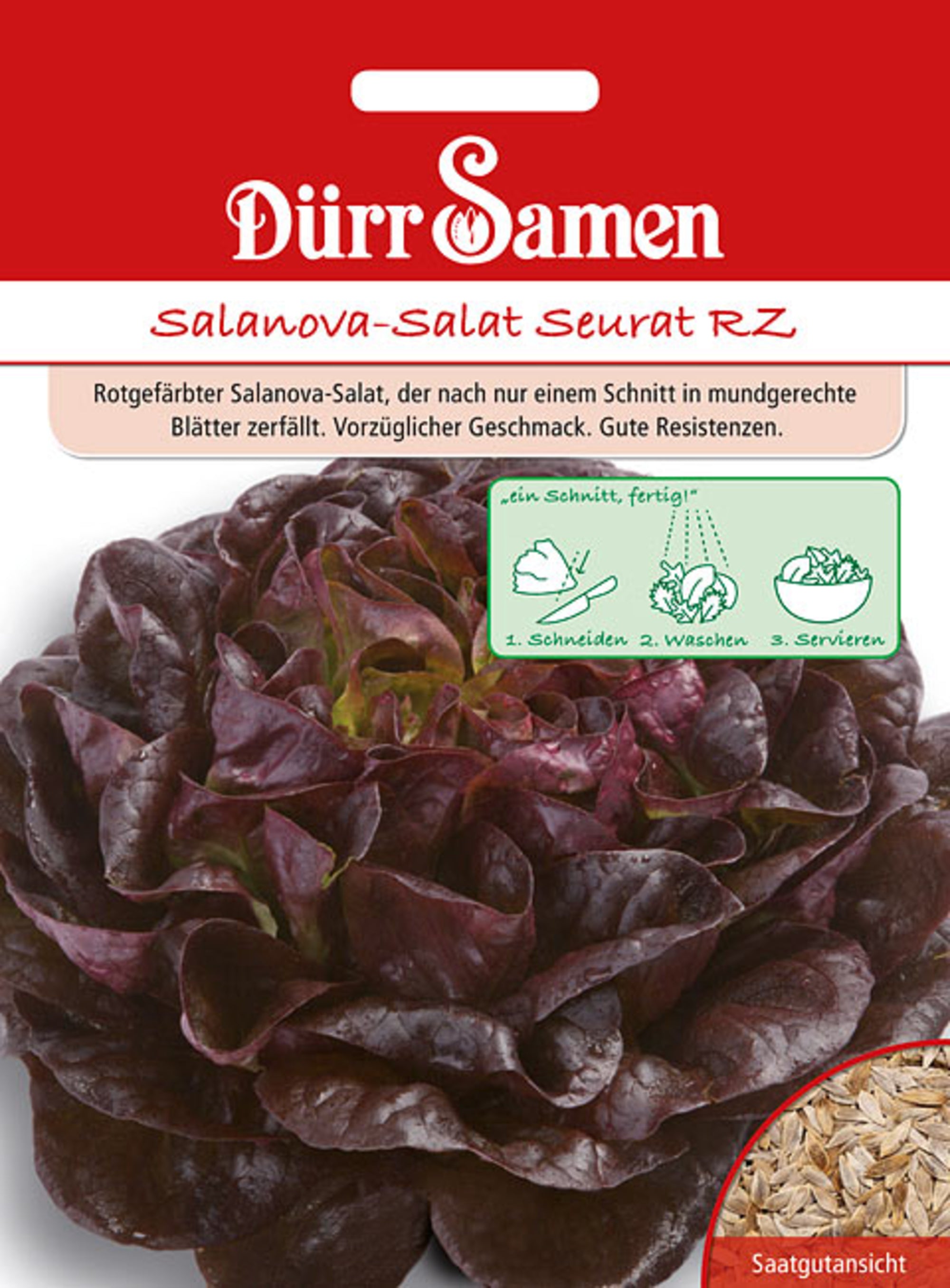 Salanova-Salat Seurat RZ