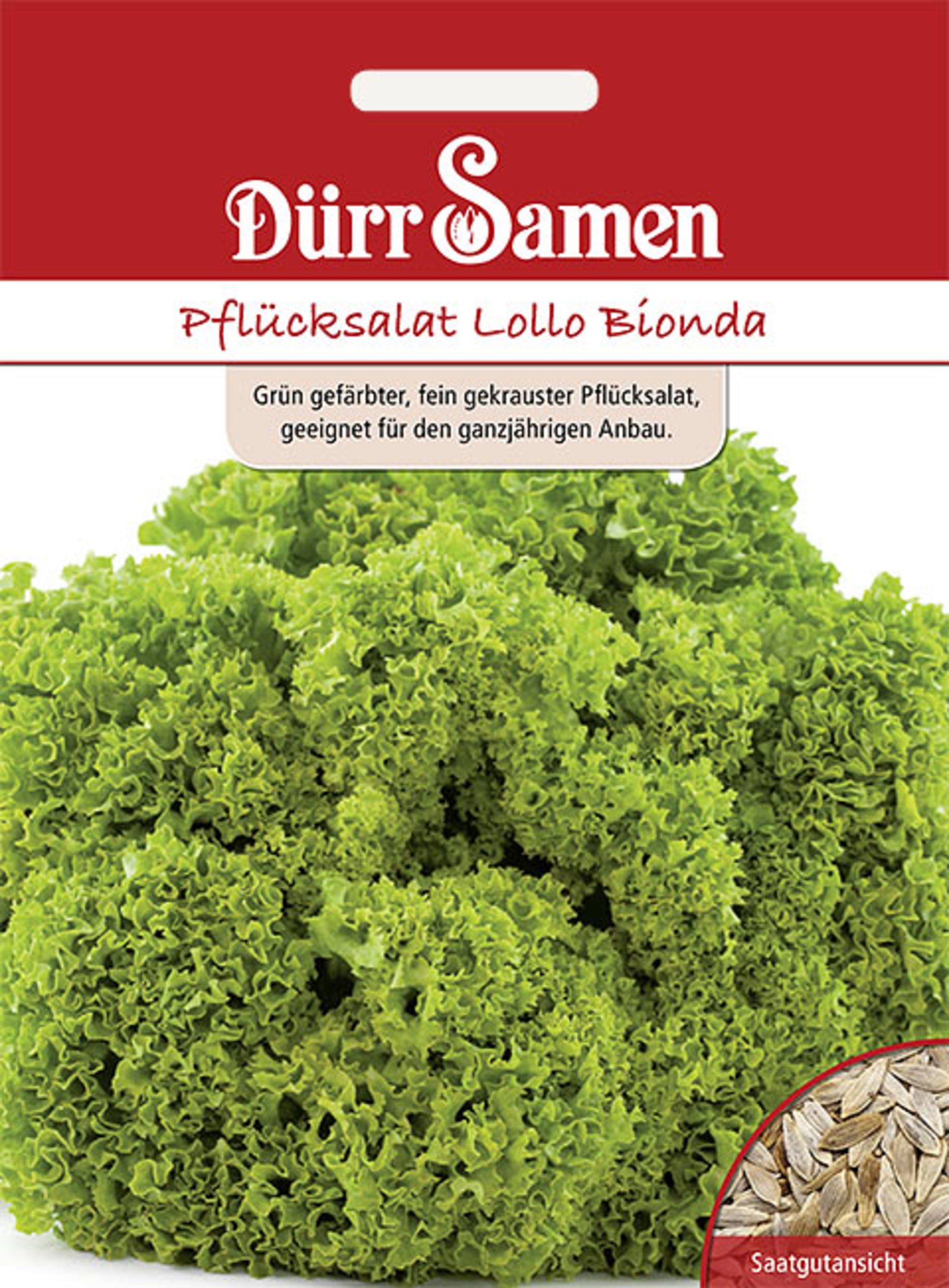 Pflücksalat Lollo Bionda