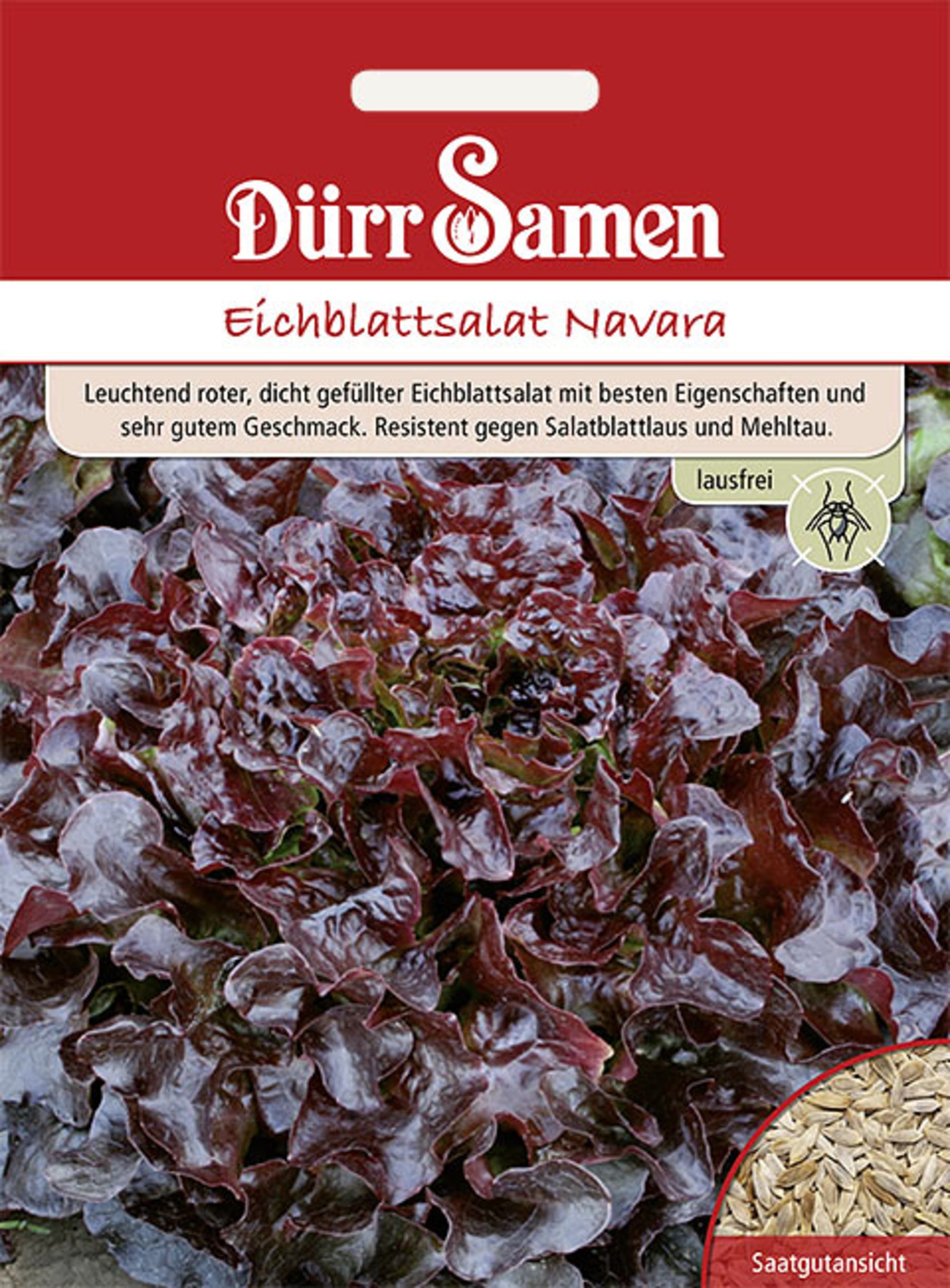 Eichblattsalat Navara