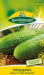 Einlegegurken Libelle