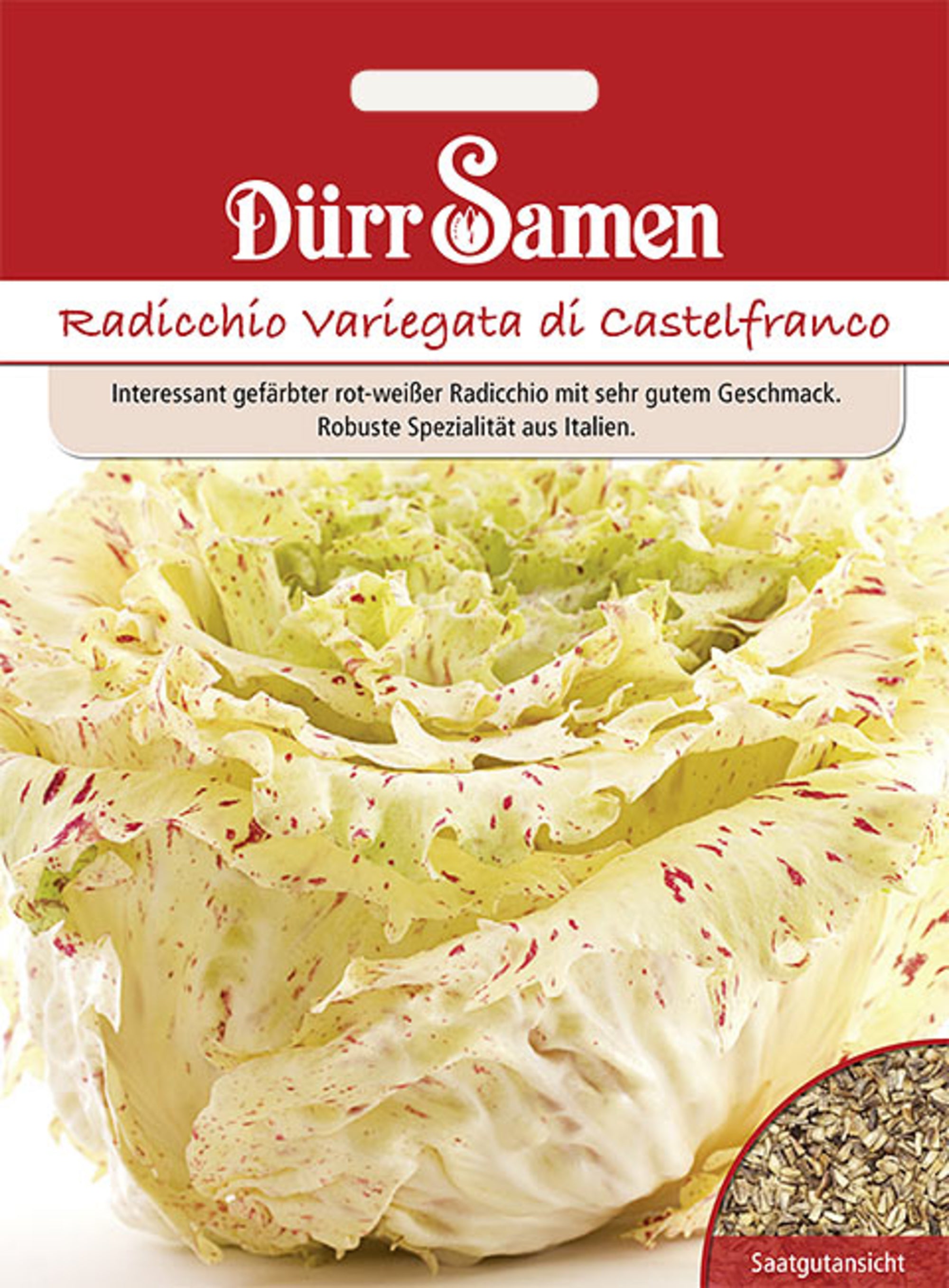 Radicchio Variegata di Castelfranco
