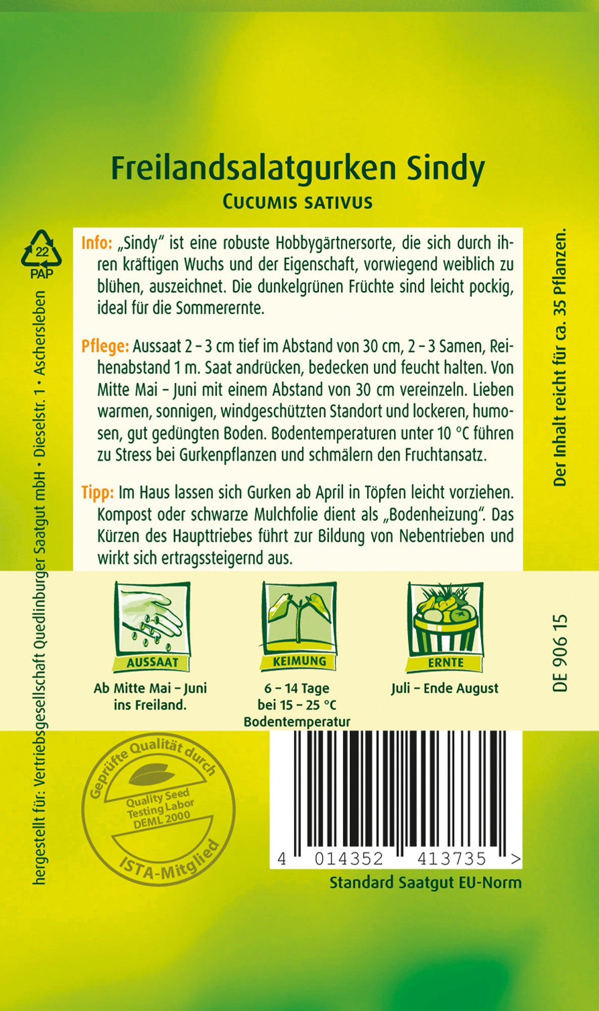 Freilandsalat-Gurken Sindy