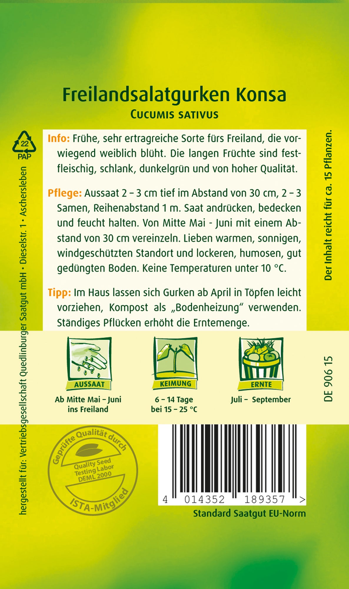 Freilandsalat-Gurken Konsa