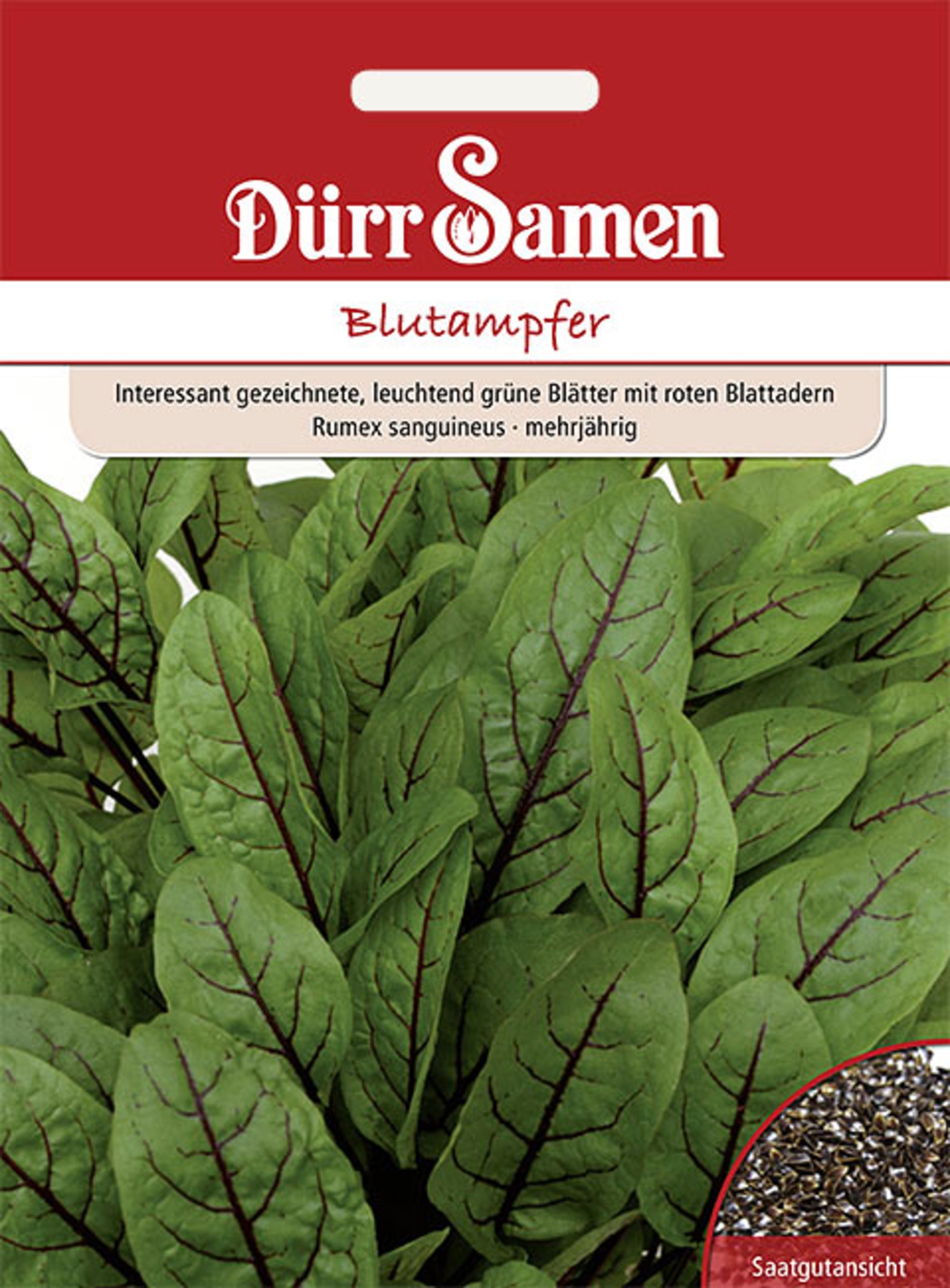 Blutampfer